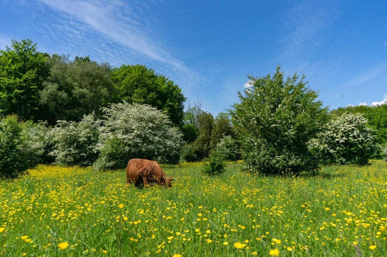 Europarcs Het Amsterdamse Bos Hotel Amstelveen Luaran gambar